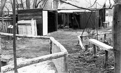 1973-03 dierentuin.jpg
